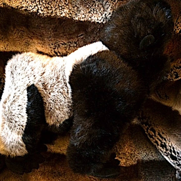 RARE NEW SHOWROOM SAMPLE STARS IN THE WILD PLUSH BLACK AND GRAY GORILLA JUNGLE - Picture 4 of 12